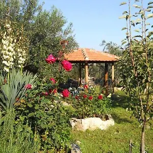 https://apartments-branimir-zadar-23273.hotelinzadar.com